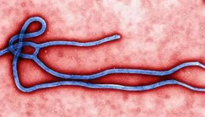 Recrudescence d’Ebola en RDC : près d’une centaine de morts, l’OMS décrète une urgence sanitaire internationale